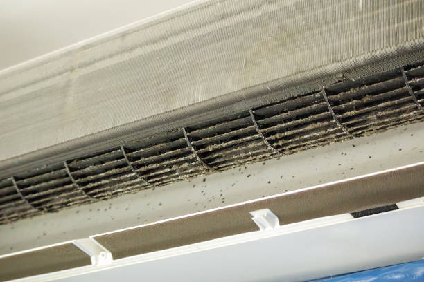 Best Air Vent Cleaning Services  in Presquille, LA
