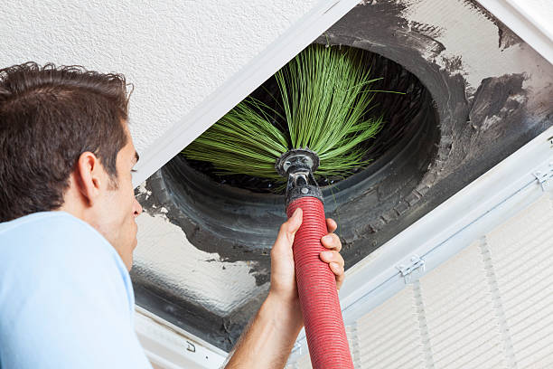 Best Dryer Vent Cleaning Services  in Presquille, LA