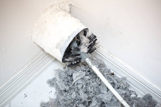 Best Duct Cleaning Specialists  in Presquille, LA